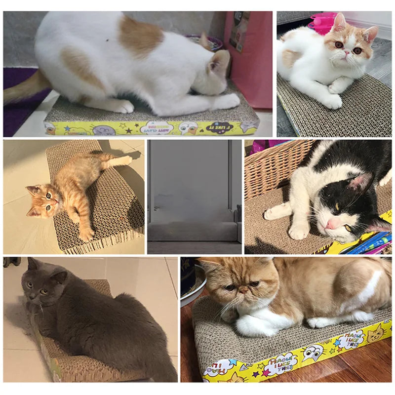 Cat Scratching Toys